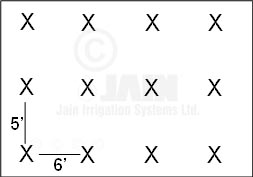 Crop Geometry